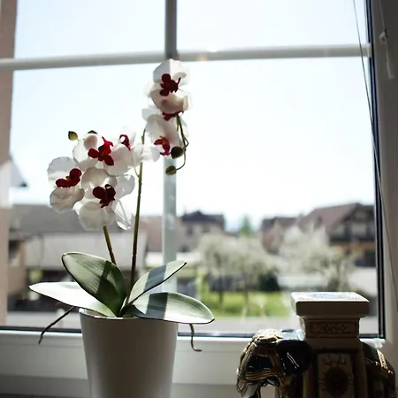 Marushka's Corner Apartman